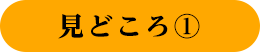 見どころ