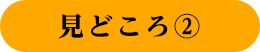 見どころ