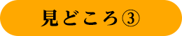 見どころ