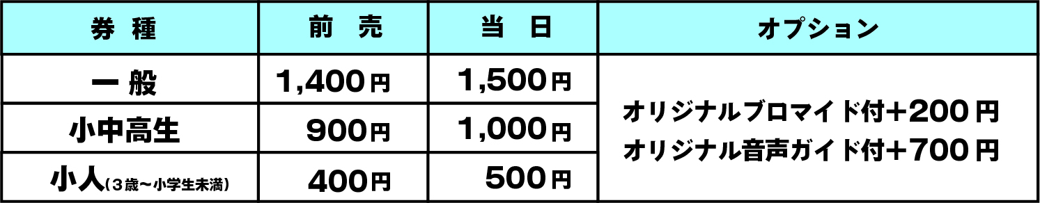 アセット 5