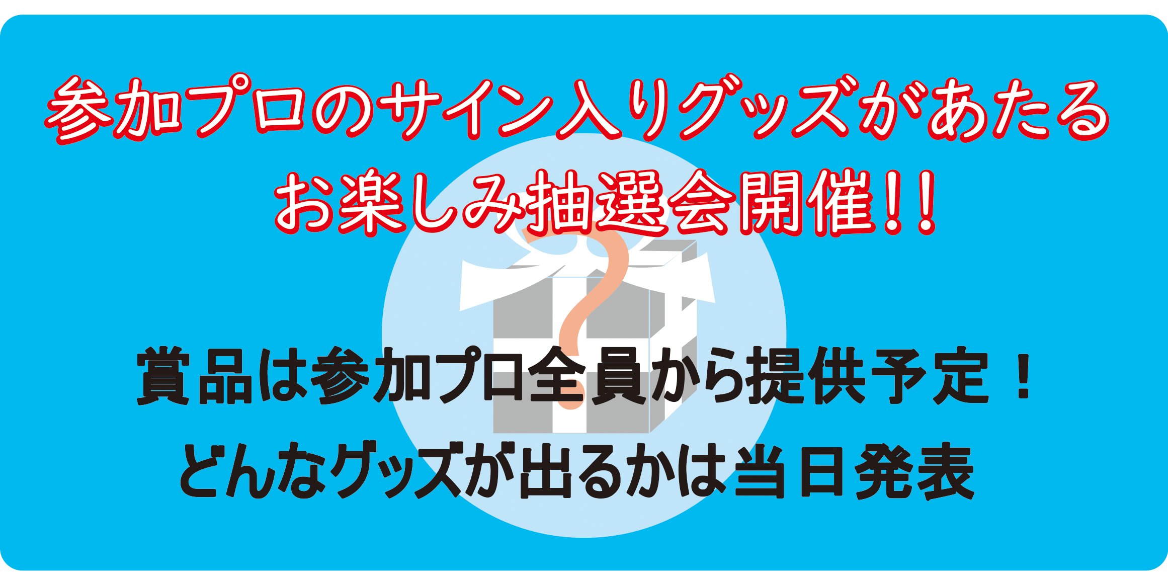 プロサイングッズ抽選会