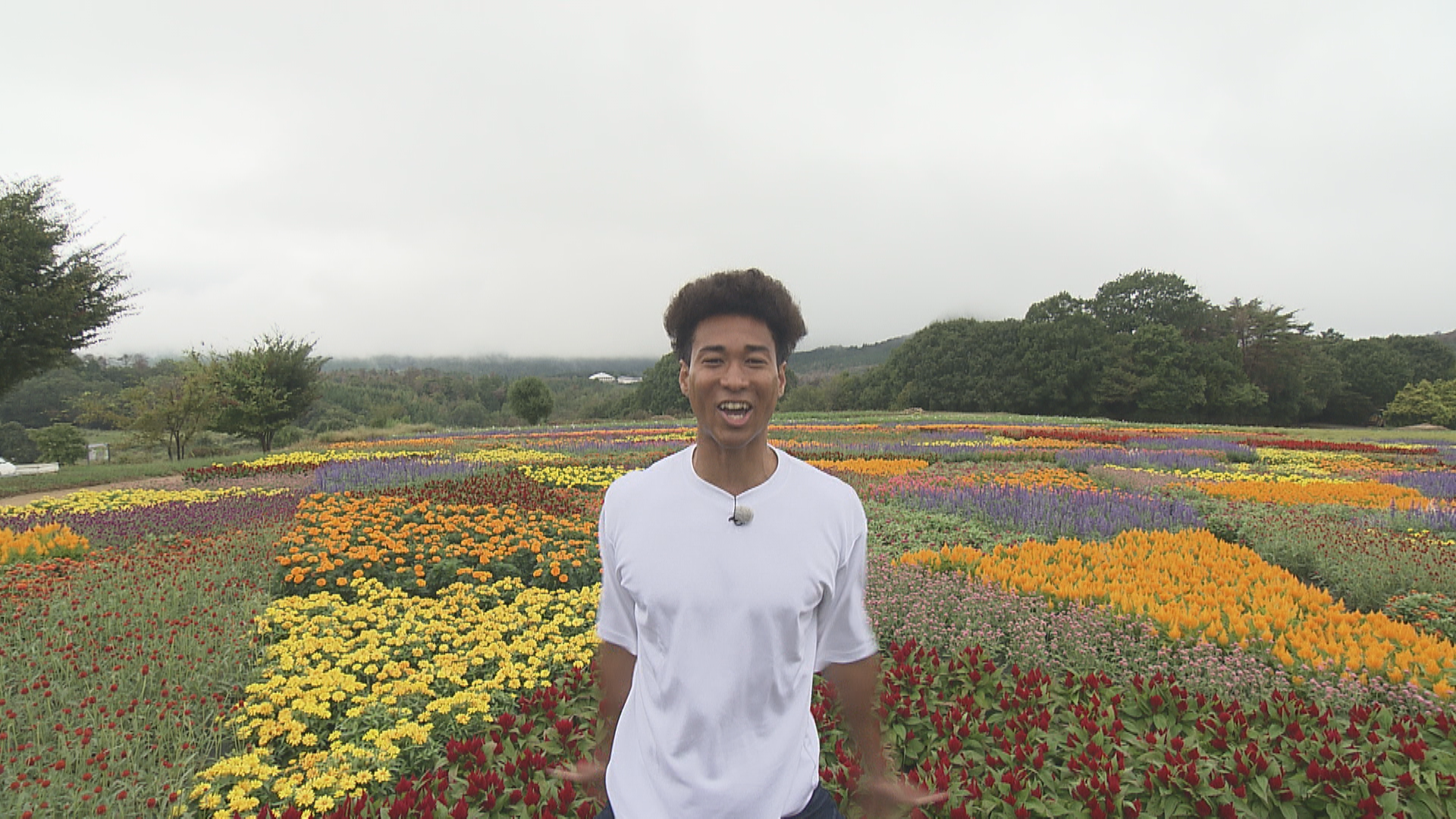 #29 世羅町