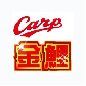 金鯉チャンネル