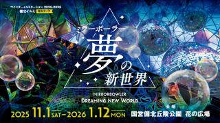 備北イルミ　特別エリア「ミラーボーラー　夢の新世界」