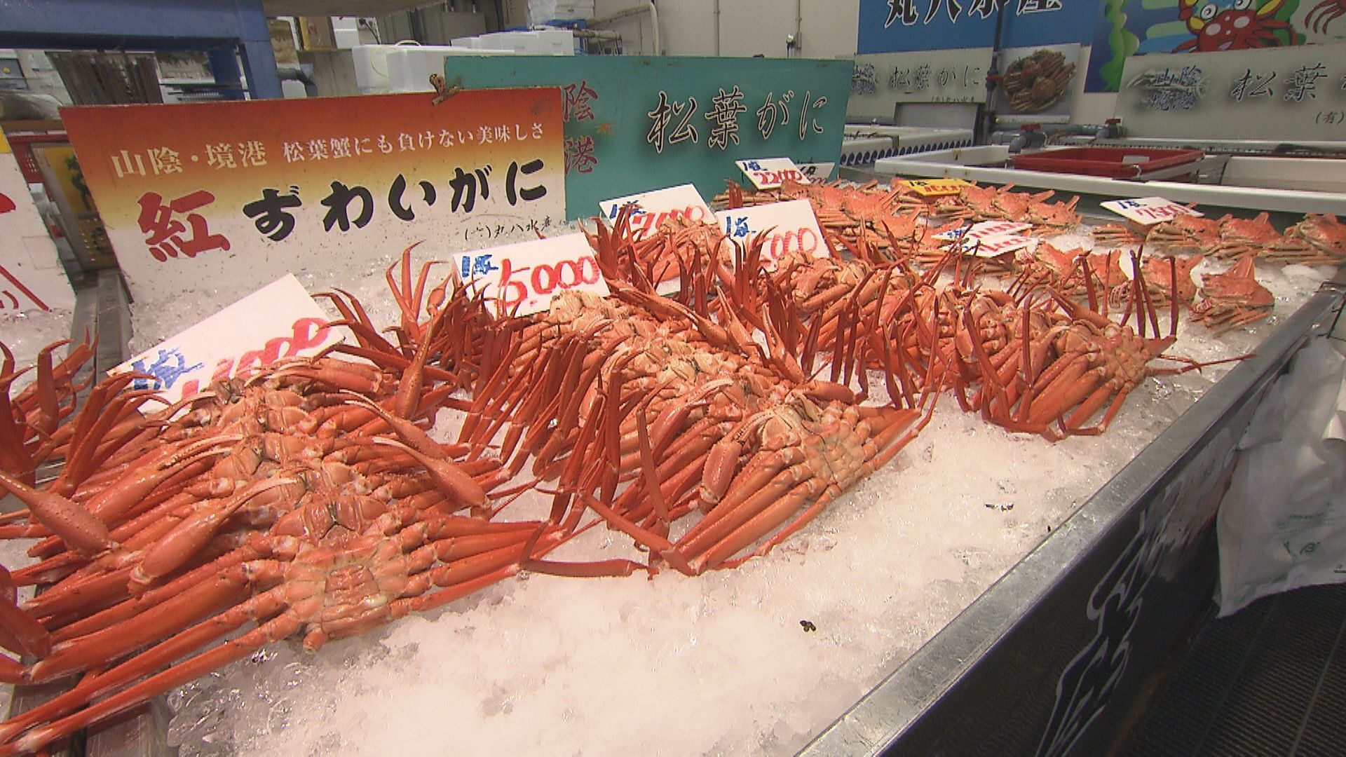 鳥取県 境港のカニ事情