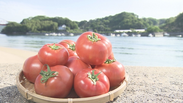 旬真っ只中！トマトの島でトマト祭