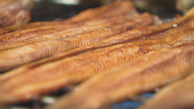 ７月５日はアナゴの日―今が旬の夏アナゴを食べよう―