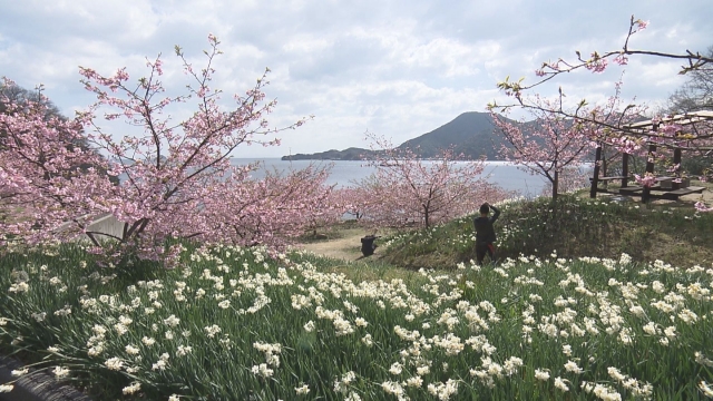 祝！100年フード認定 因島のソウルフードを訪ねて春旅