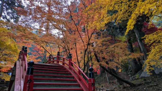 街ごと中継 in 世羅