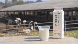 サゴタニ牧場のイチゴ狩り