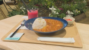 元気な腸へのアプローチ