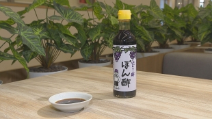 道の駅で出会える調味料