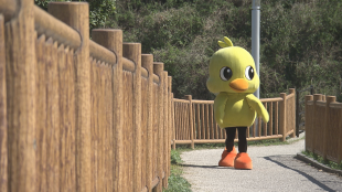 ピッピが行く！山口県絶景の旅