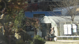行ってみたらこんな場所「めだかの館」