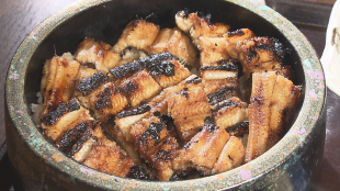 ７月５日はアナゴの日―今が旬の夏アナゴを食べよう―