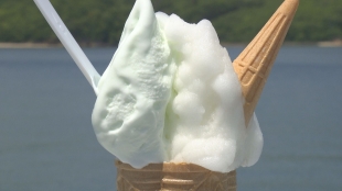 地元フルコース～しまなみ海道編～