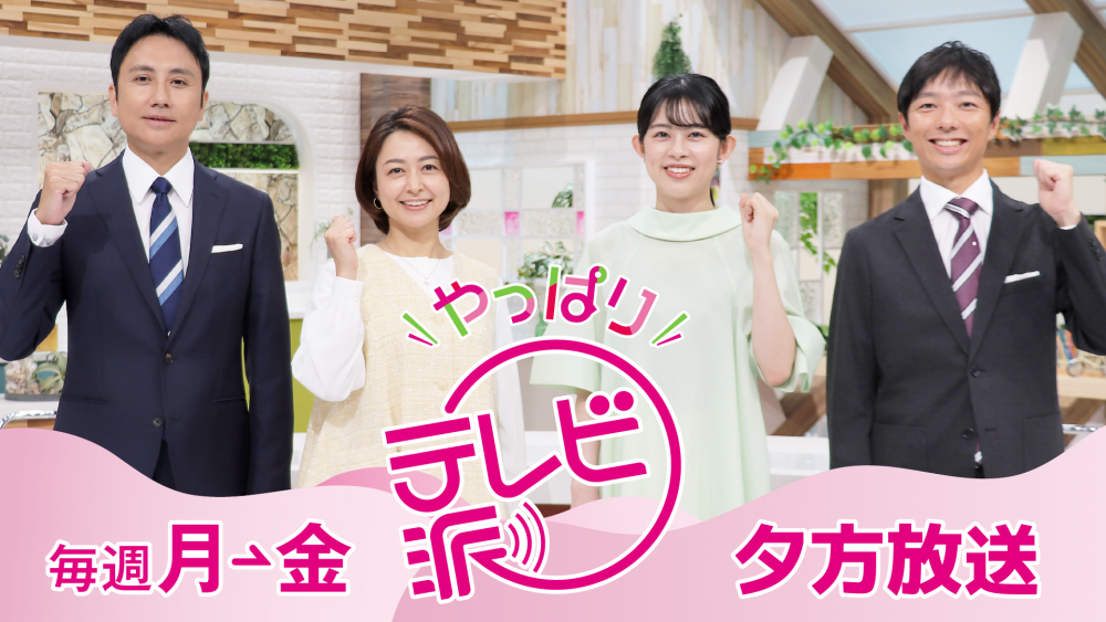 テレビ派【汎用】夕方放送