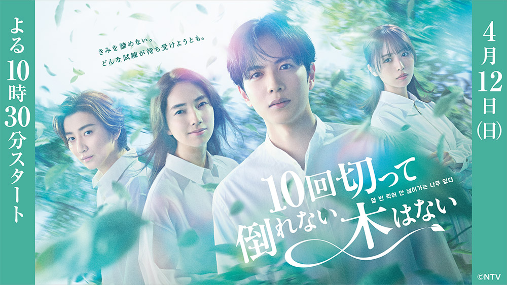 日ドラ「10回切って倒れない木はない」