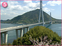 多々羅大橋