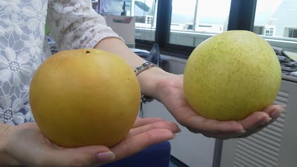 2015-pears