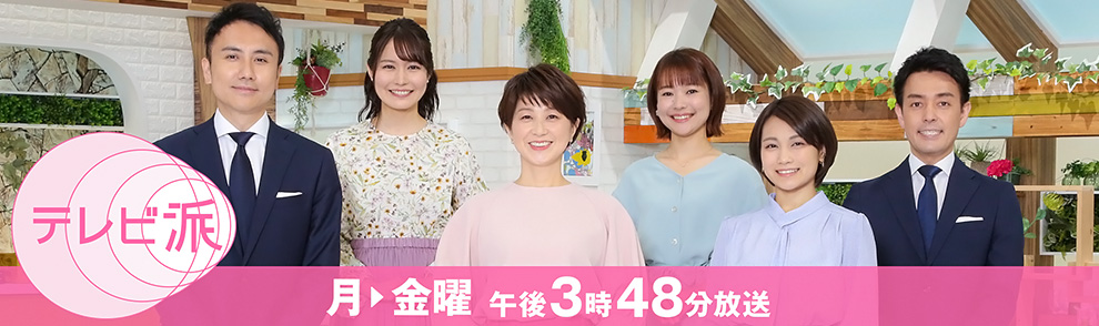 テレビ派